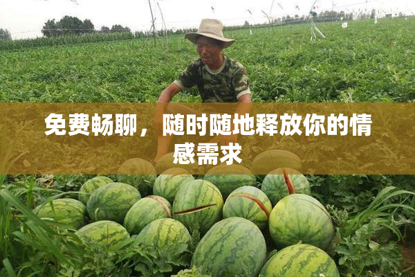 免费畅聊，随时随地释放你的情感需求