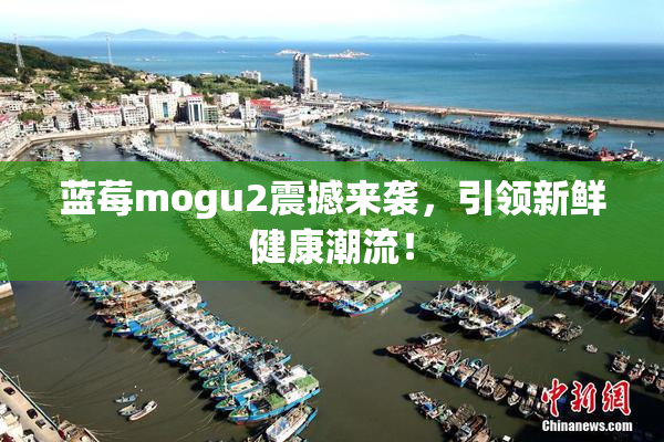 蓝莓mogu2震撼来袭，引领新鲜健康潮流！