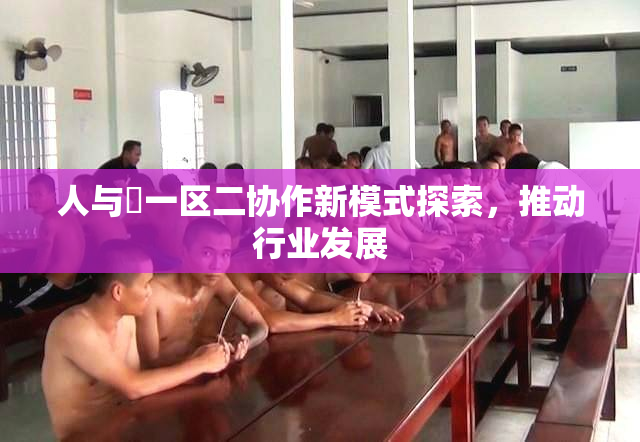 人与嘼一区二协作新模式探索，推动行业发展