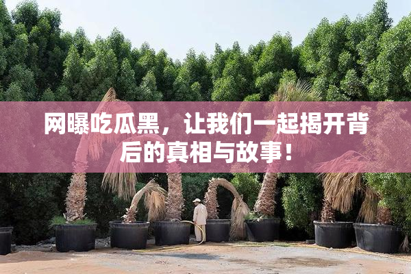 网曝吃瓜黑，让我们一起揭开背后的真相与故事！