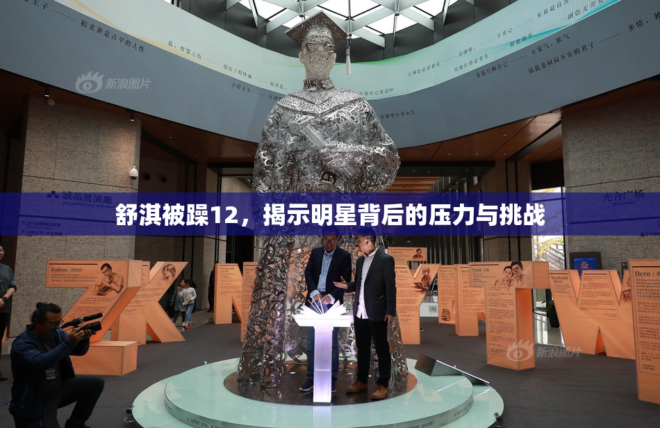 舒淇被躁12，揭示明星背后的压力与挑战