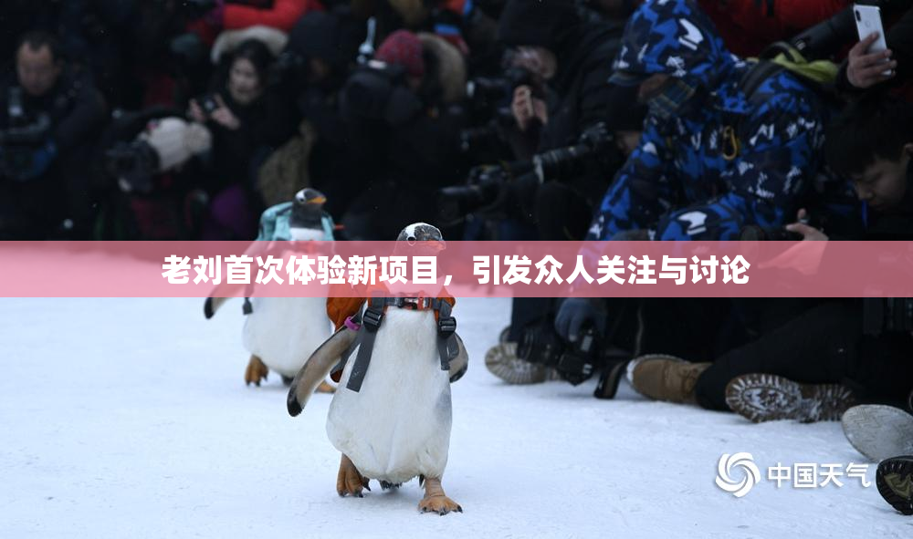 老刘首次体验新项目，引发众人关注与讨论