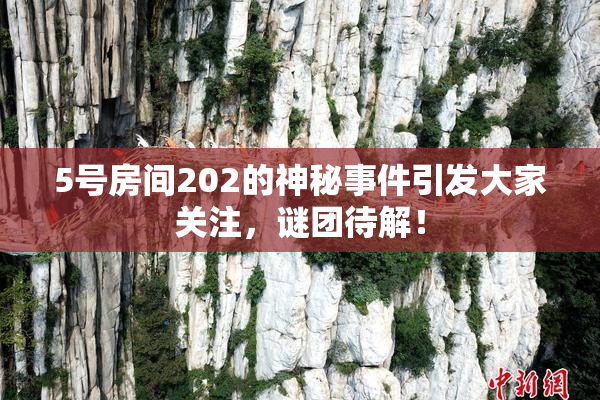5号房间202的神秘事件引发大家关注，谜团待解！