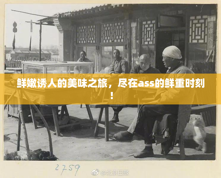 鲜嫩诱人的美味之旅，尽在ass的鲜重时刻！