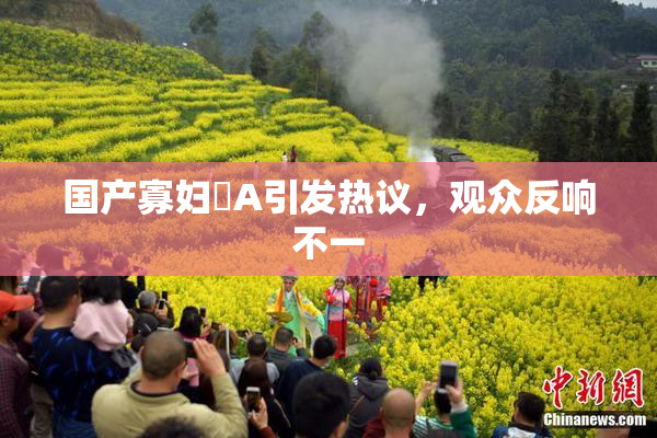 国产寡妇婬A引发热议，观众反响不一