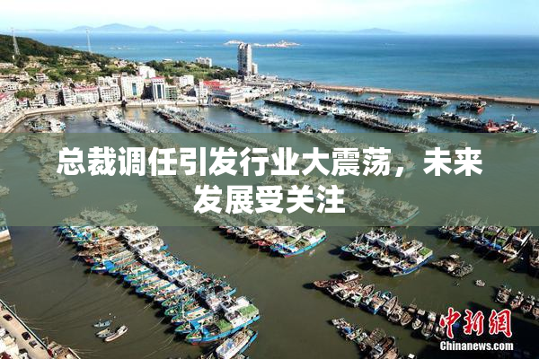总裁调任引发行业大震荡，未来发展受关注