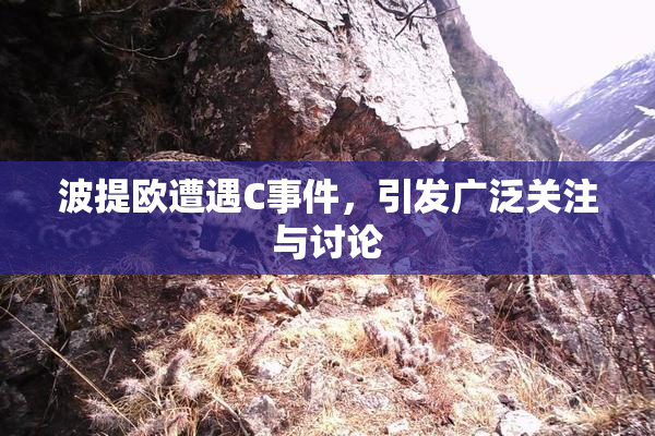波提欧遭遇C事件，引发广泛关注与讨论