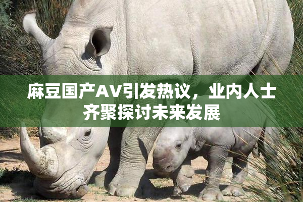 麻豆国产AV引发热议，业内人士齐聚探讨未来发展