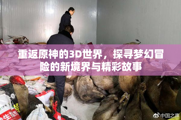 重返原神的3D世界，探寻梦幻冒险的新境界与精彩故事