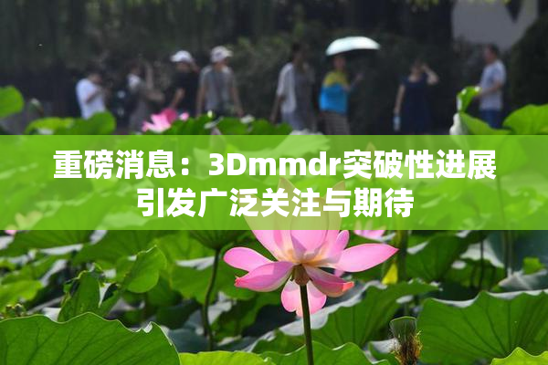 重磅消息：3Dmmdr突破性进展引发广泛关注与期待