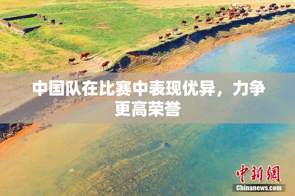 中国队在比赛中表现优异，力争更高荣誉