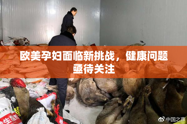 欧美孕妇面临新挑战，健康问题亟待关注