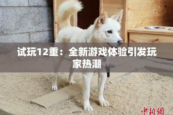 试玩12重：全新游戏体验引发玩家热潮