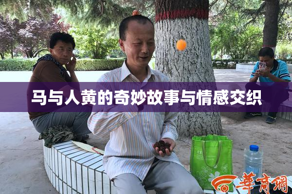 马与人黄的奇妙故事与情感交织