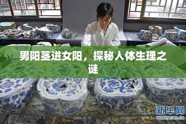 男阳茎进女阳，探秘人体生理之谜
