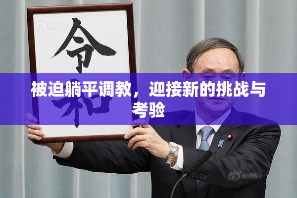被迫躺平调教，迎接新的挑战与考验