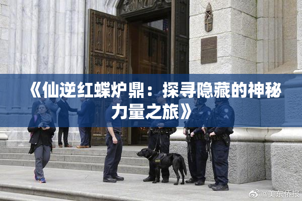 《仙逆红蝶炉鼎：探寻隐藏的神秘力量之旅》