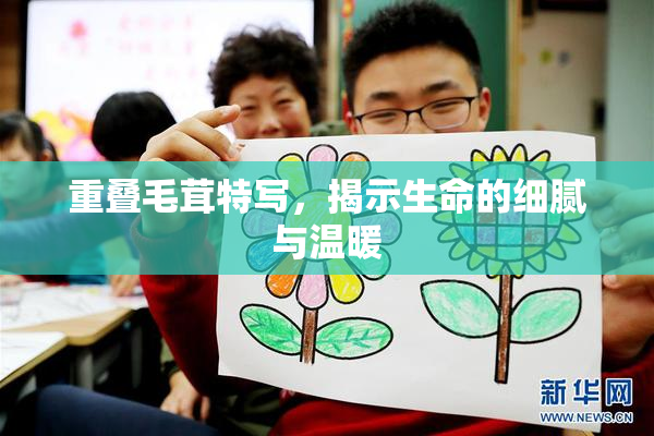 重叠毛茸特写，揭示生命的细腻与温暖