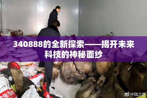 340888的全新探索——揭开未来科技的神秘面纱