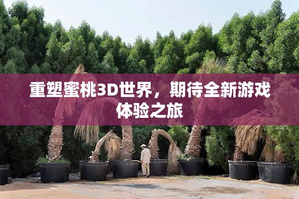 重塑蜜桃3D世界，期待全新游戏体验之旅