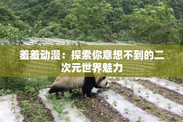 羞羞动漫：探索你意想不到的二次元世界魅力