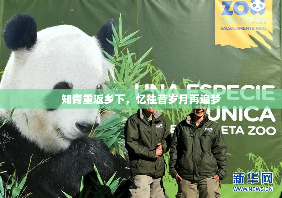 知青重返乡下，忆往昔岁月再追梦