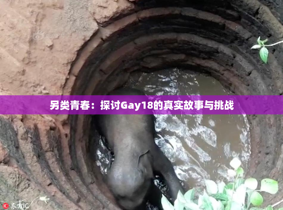 另类青春：探讨Gay18的真实故事与挑战