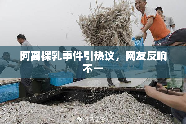 阿离裸乳事件引热议，网友反响不一