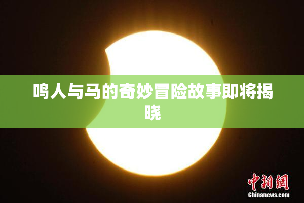 鸣人与马的奇妙冒险故事即将揭晓