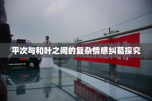 平次与和叶之间的复杂情感纠葛探究