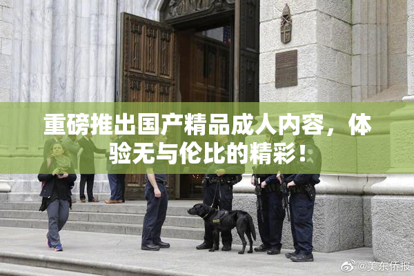 重磅推出国产精品成人内容，体验无与伦比的精彩！