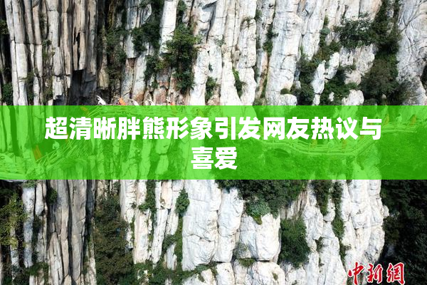 超清晰胖熊形象引发网友热议与喜爱