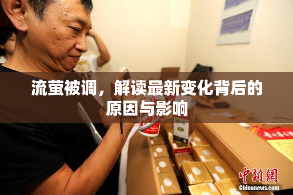 流萤被调，解读最新变化背后的原因与影响