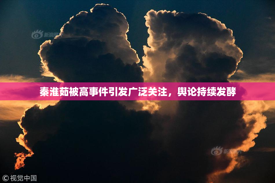 秦淮茹被高事件引发广泛关注，舆论持续发酵