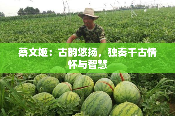 蔡文姬：古韵悠扬，独奏千古情怀与智慧