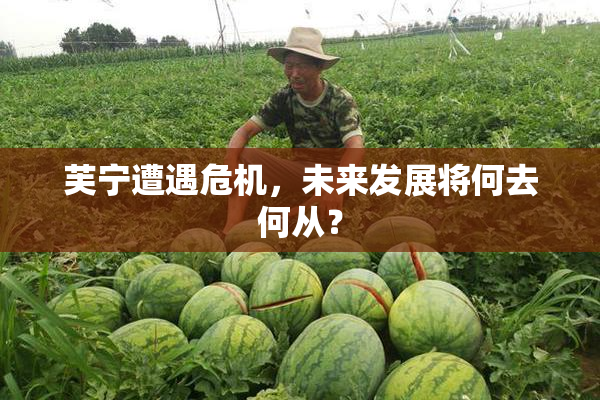 芙宁遭遇危机，未来发展将何去何从？