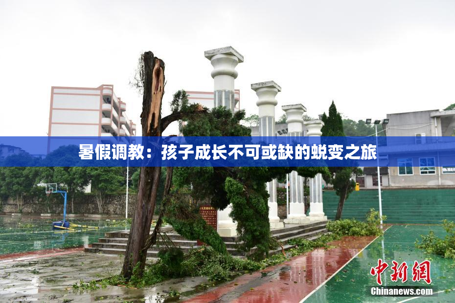 暑假调教：孩子成长不可或缺的蜕变之旅