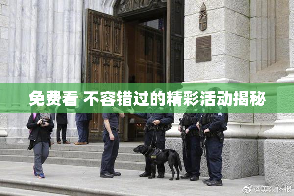 免费看 不容错过的精彩活动揭秘