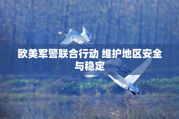 欧美军警联合行动 维护地区安全与稳定