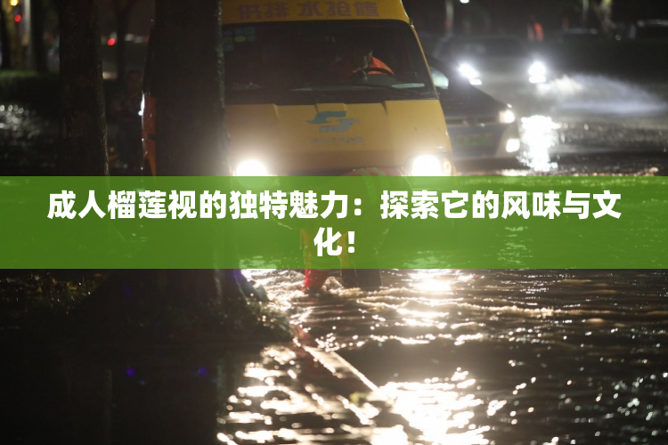 成人榴莲视的独特魅力：探索它的风味与文化！