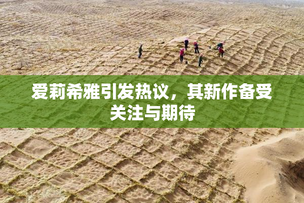爱莉希雅引发热议，其新作备受关注与期待