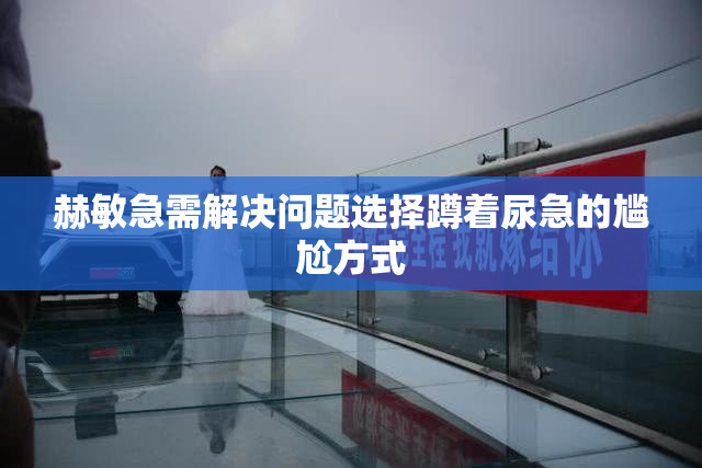 赫敏急需解决问题选择蹲着尿急的尴尬方式