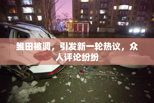 雏田被调，引发新一轮热议，众人评论纷纷