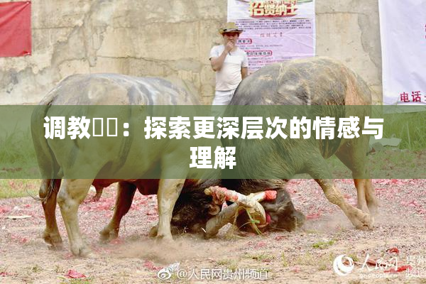 调教妺妺：探索更深层次的情感与理解