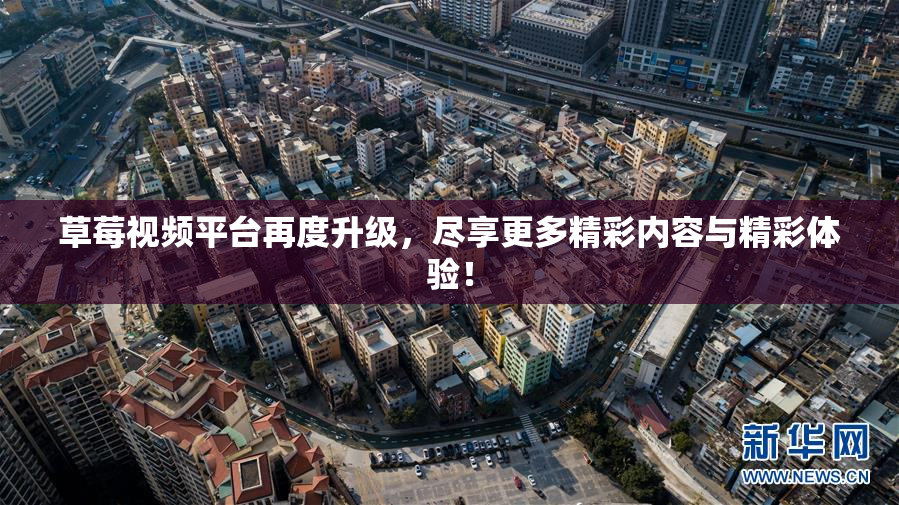 草莓视频平台再度升级，尽享更多精彩内容与精彩体验！