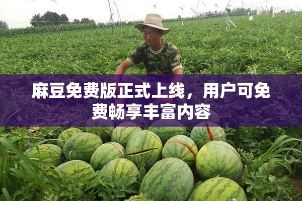 麻豆免费版正式上线，用户可免费畅享丰富内容