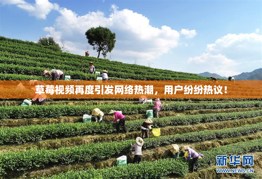 草莓视频再度引发网络热潮，用户纷纷热议！