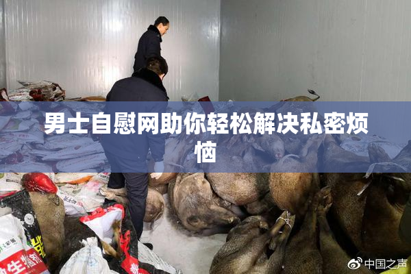 男士自慰网助你轻松解决私密烦恼