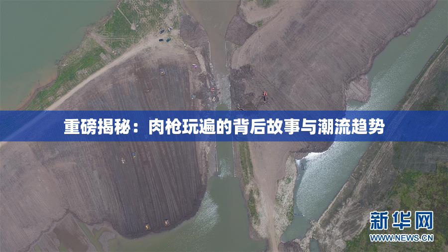 重磅揭秘：肉枪玩遍的背后故事与潮流趋势
