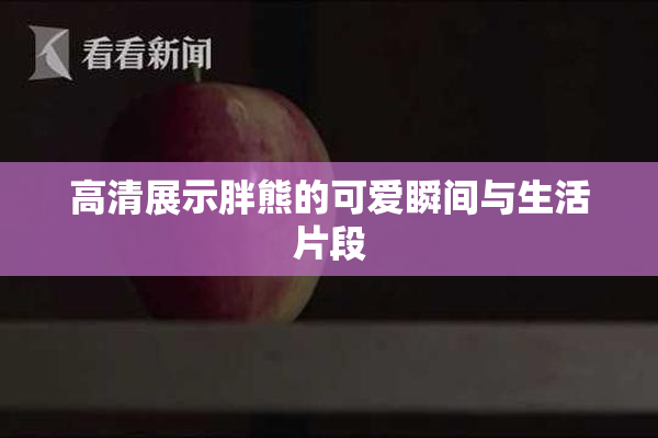 高清展示胖熊的可爱瞬间与生活片段